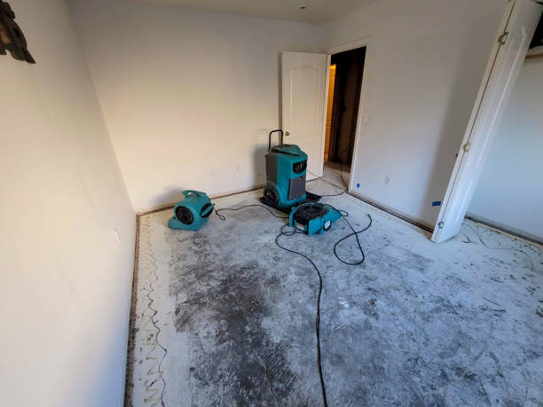 Best Emergency water extraction  in Leetsdale, PA