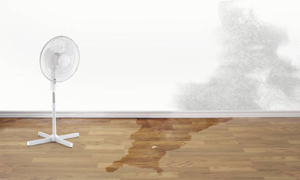 Best Basement water damage restoration  in Leetsdale, PA