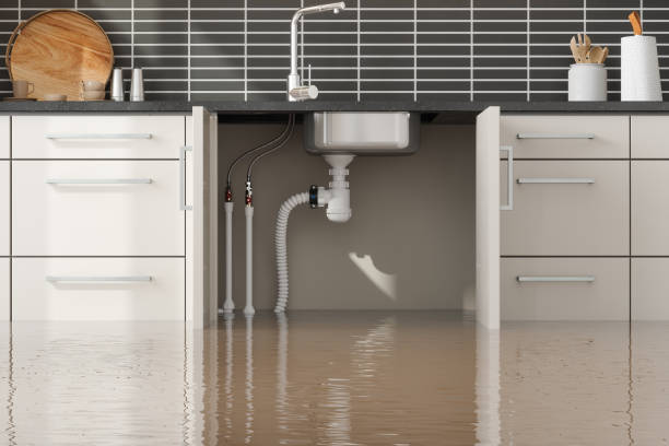 Best Water damage restoration near me  in Leetsdale, PA