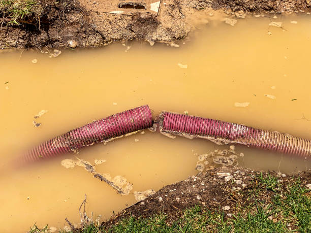 Best Basement water damage restoration  in Leetsdale, PA