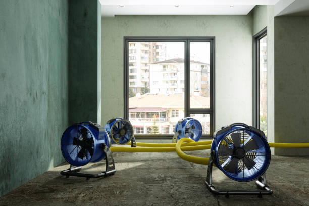 Reliable Leetsdale, PA Water damage restoration Solutions