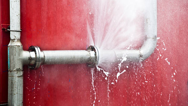 Best Carpet water damage restoration  in Leetsdale, PA